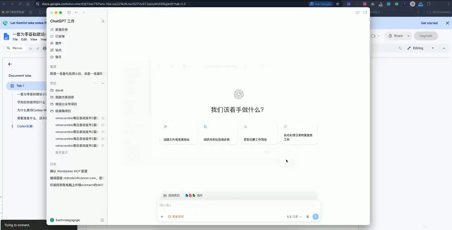 大卫·外贸人Codex + WordPress建站课(更新8月)